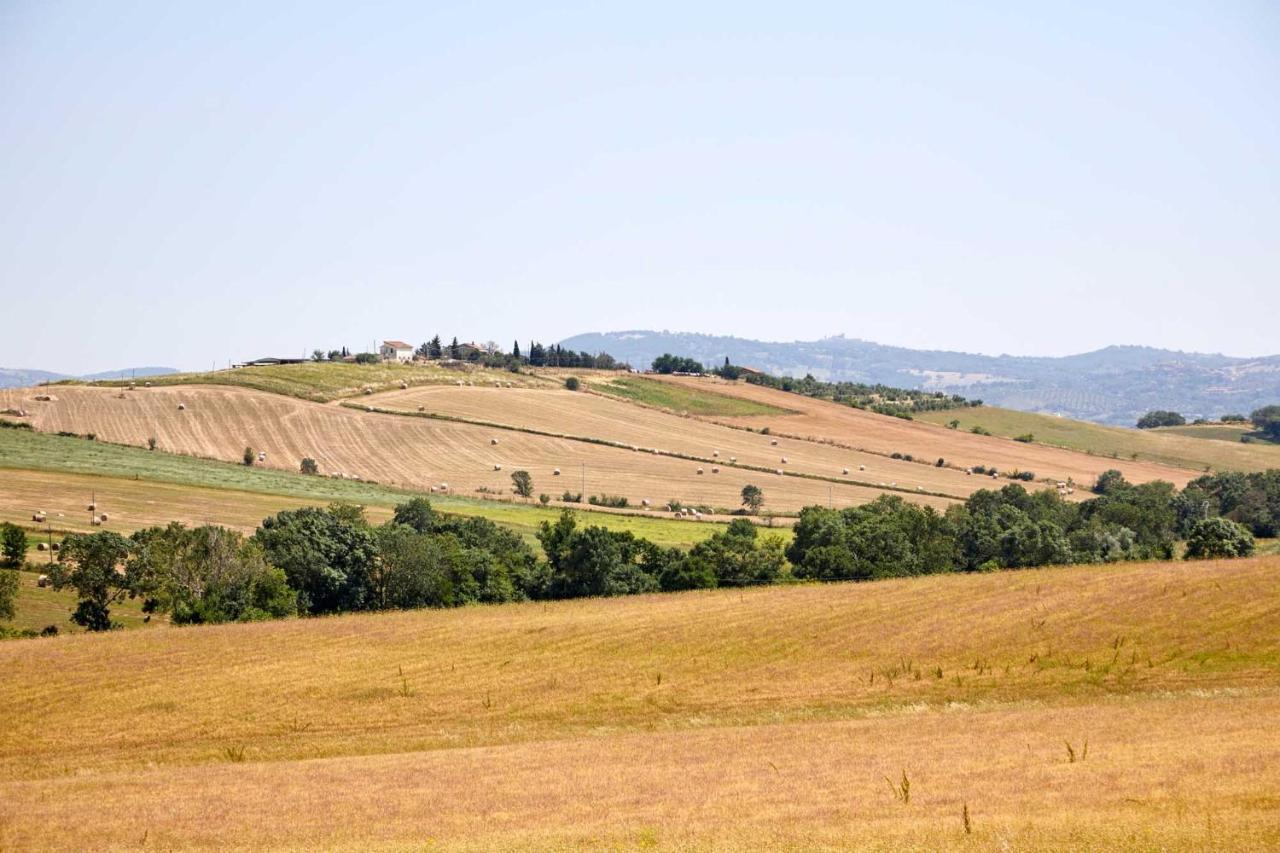 Agriturismo Montecrespini Saturnia Zewnętrze zdjęcie