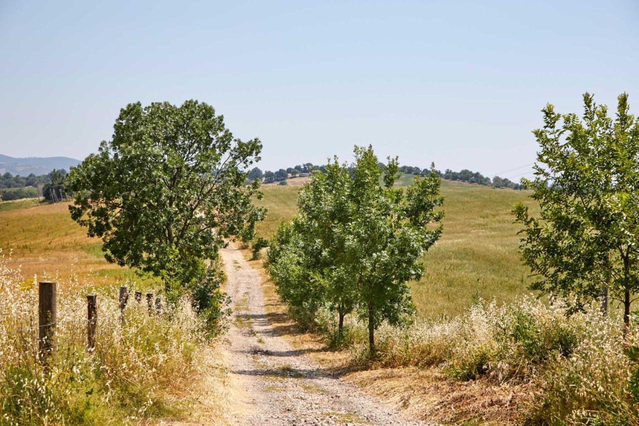 Agriturismo Montecrespini Saturnia Zewnętrze zdjęcie